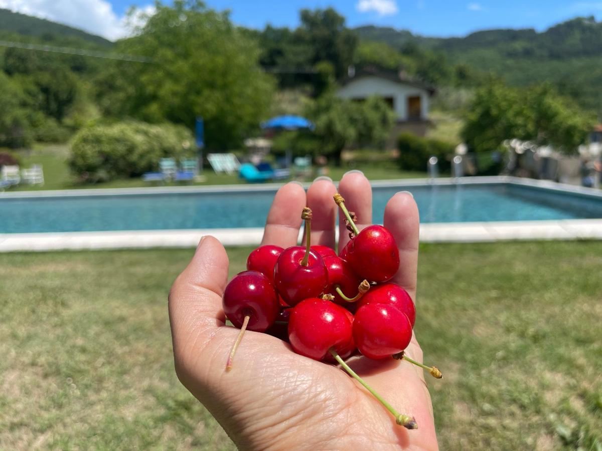 Piscina di Agriturismo Tripala o nelle vicinanze
