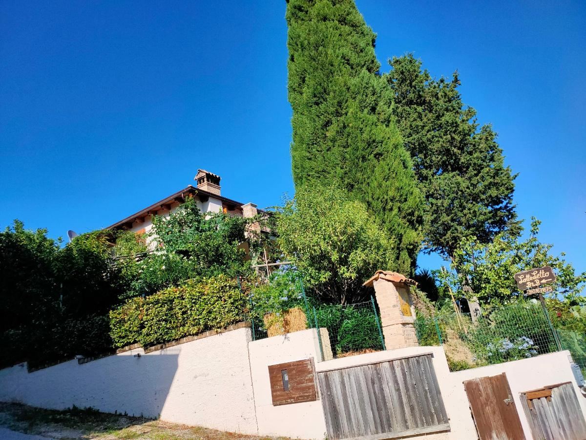 Giardino di Bed and Breakfast Latteletto