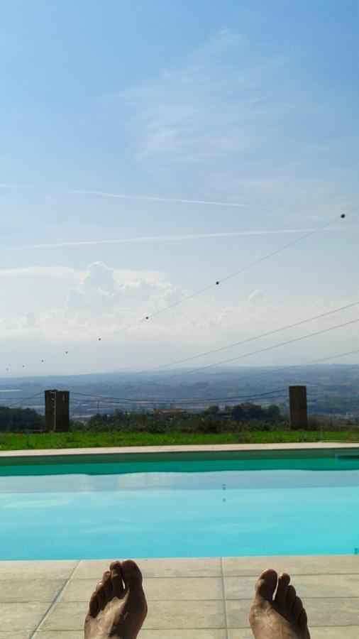 Piscina di il glicine o nelle vicinanze