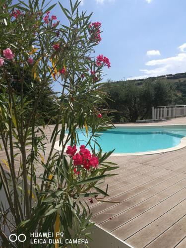 Country house "L'isola che non c'è"